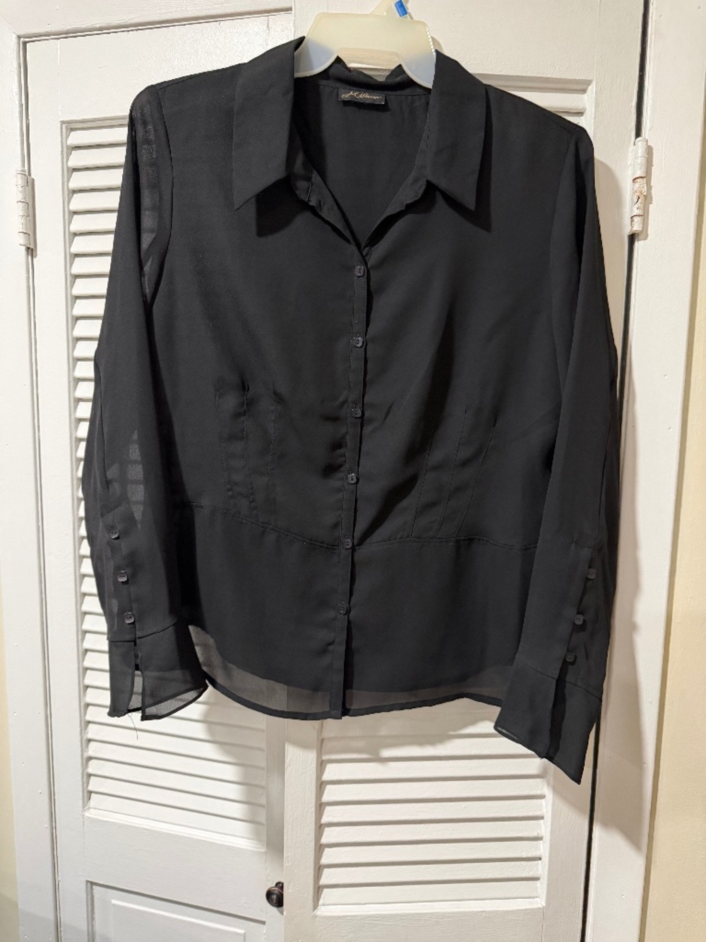 Delicate Black Sheer Women’s Blouse